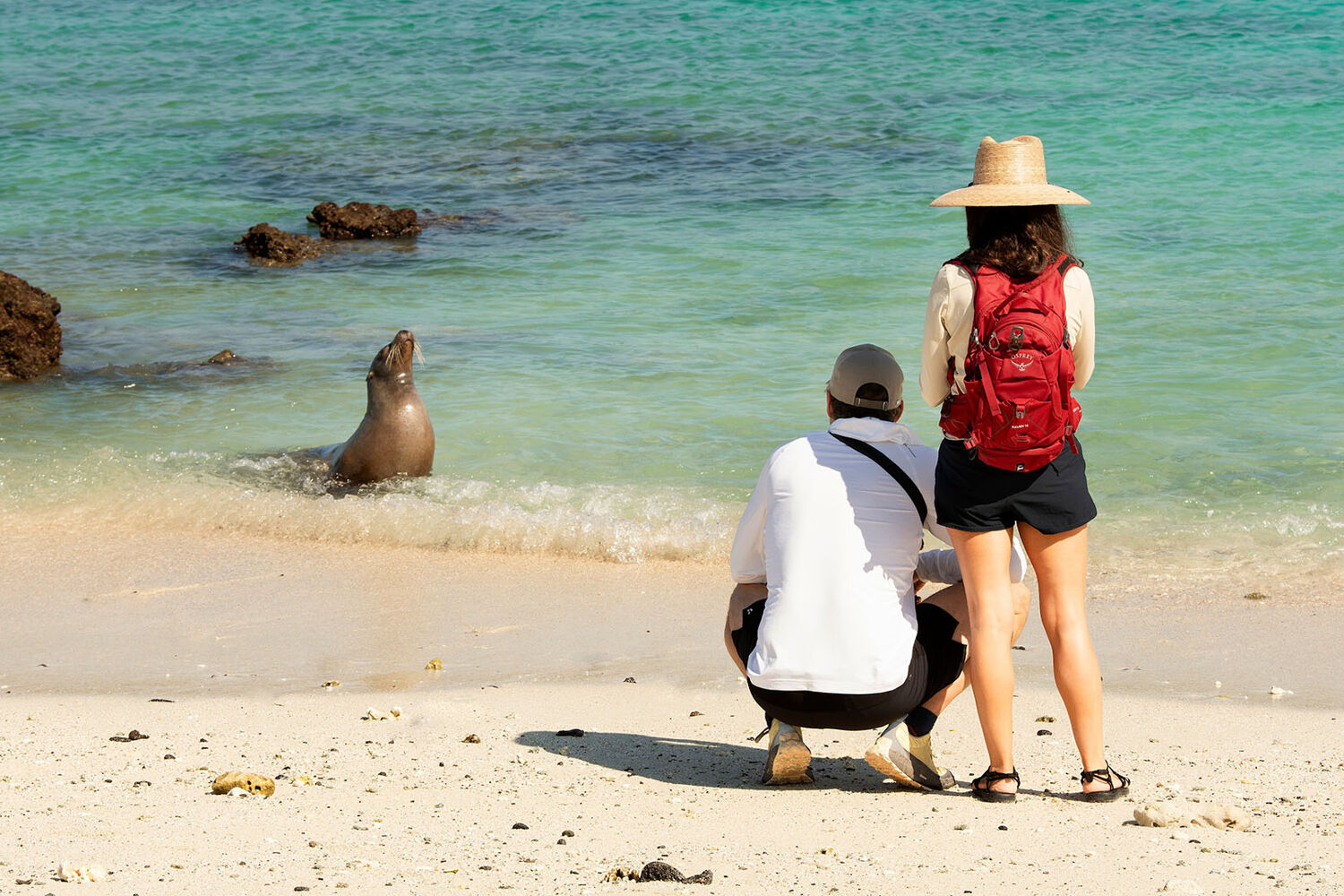 PlaceholderImage1302